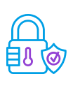 Secure icon