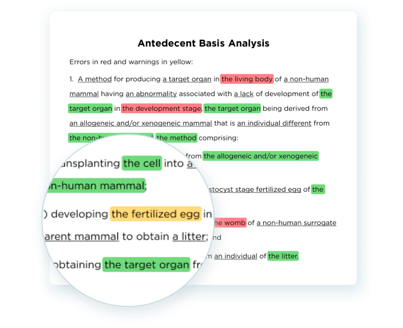 Antecedent Basis Analysis